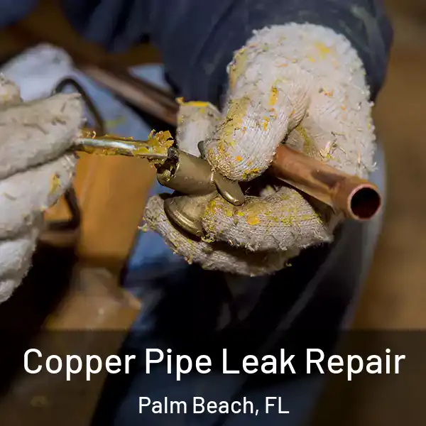  Copper Pipe Leak Repair Palm Beach, FL