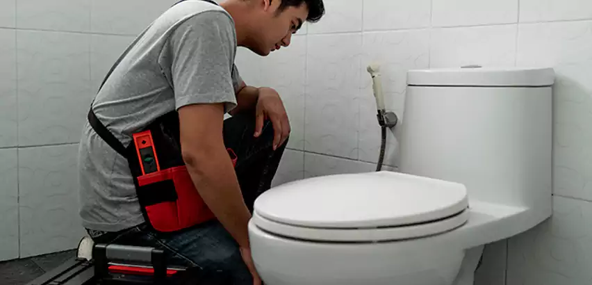 Toilet Repair in Palm Beach