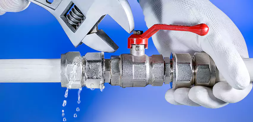 Water Line Repair in Palm Beach, FL