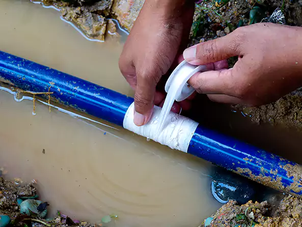  Why Choose Palm Beach Plumbing Rooter for Leak Detection in Palm Beach, FL?]