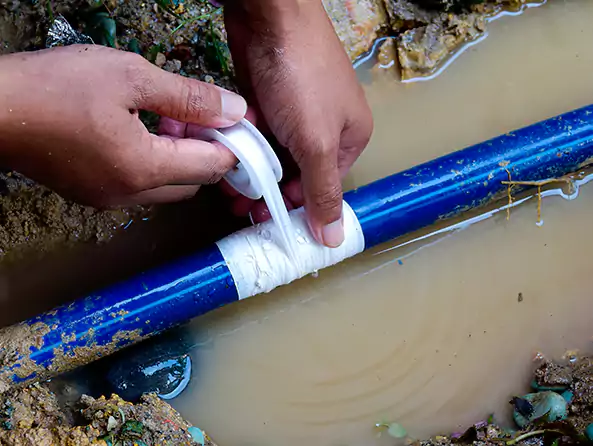 Why Choose Palm Beach Plumbing Rooter for Water Line Replacement in Palm Beach, FL?