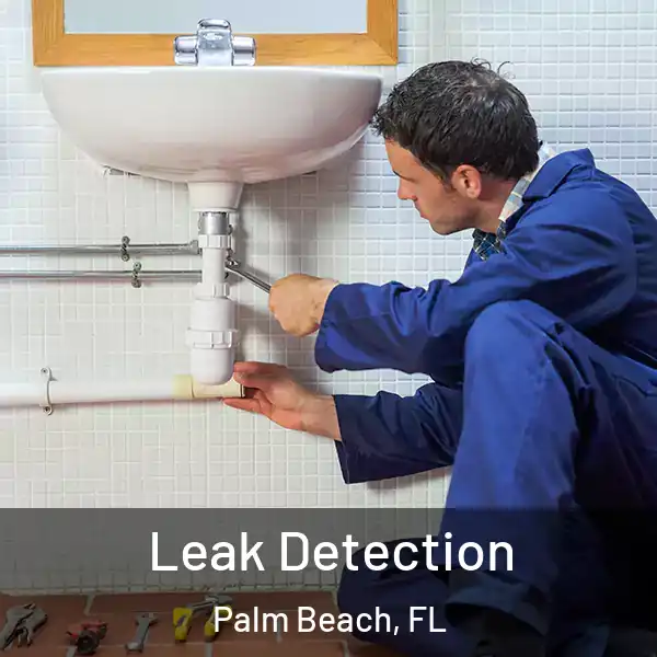  Leak Detection Palm Beach, FL
