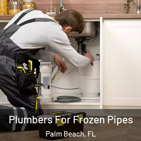  Plumbers For Frozen Pipes Palm Beach, FL