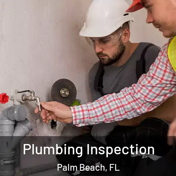  Plumbing Inspection Palm Beach, FL