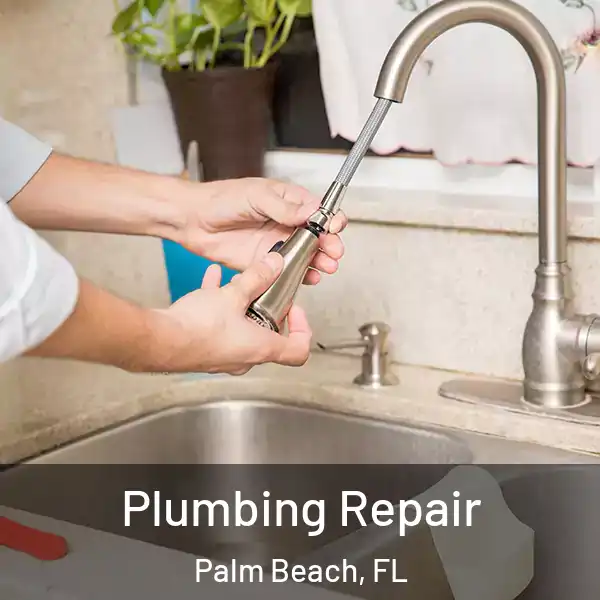 Plumbing Repair Palm Beach, FL