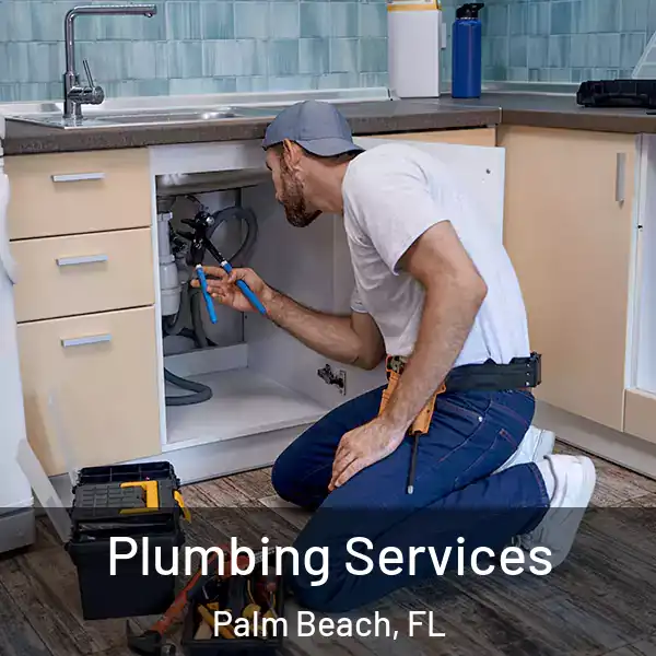  Plumbing Services Palm Beach, FL