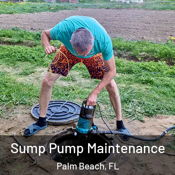  Sump Pump Maintenance Palm Beach, FL