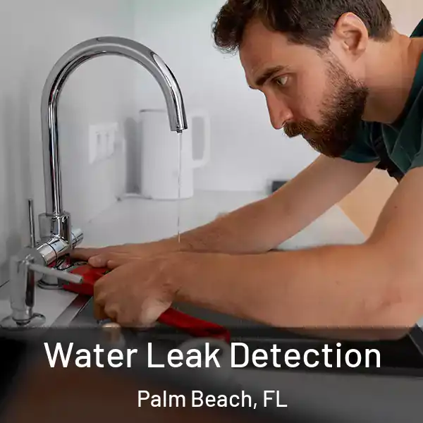  Water Leak Detection Palm Beach, FL